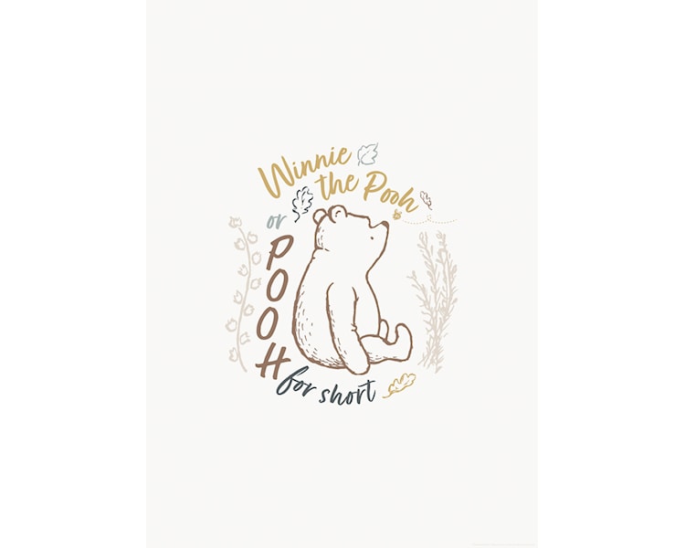 Disney Winnie the Pooh for Short